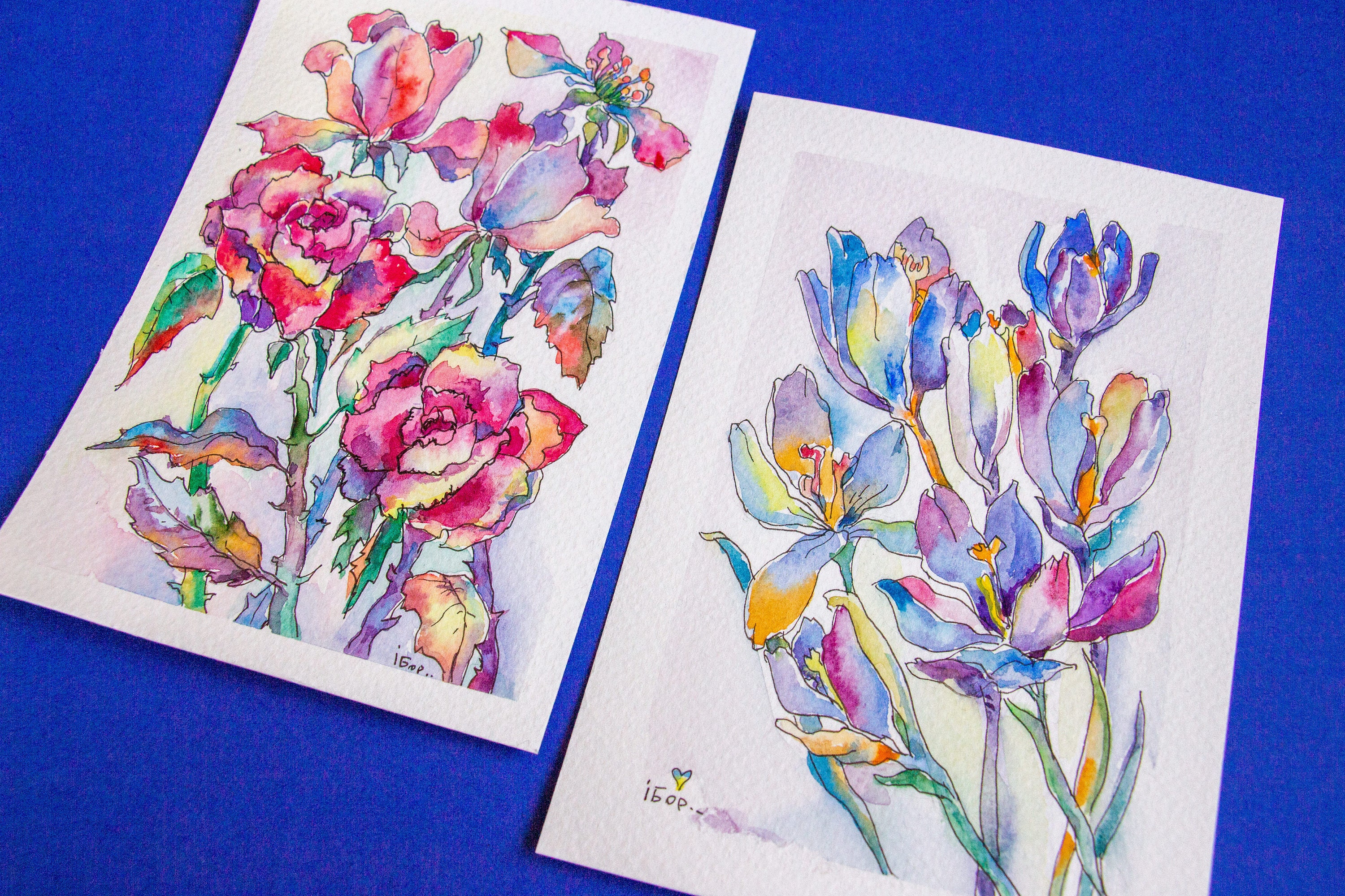 Watercolor Set STUDIO Watercolors 2.5 Ml Full Pans 24 Colors Watercolor  Rosa Studio Paint Set UKRAINE Watercolors 