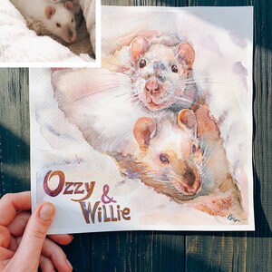 May include: Watercolor painting of two white rats named Ozzy & Willie. The rats are painted in a realistic style with soft, muted colors. The painting is on a white background and has a light, airy feel.