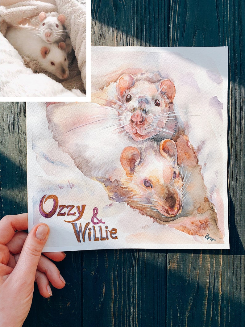 May include: Watercolor painting of two white rats named Ozzy & Willie. The rats are painted in a realistic style with soft, muted colors. The painting is on a white background and has a light, airy feel.