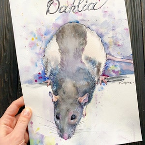 May include: Watercolor painting of a gray and white rat named "Dahlia" with a colorful background. The rat is looking at the viewer with its head tilted.