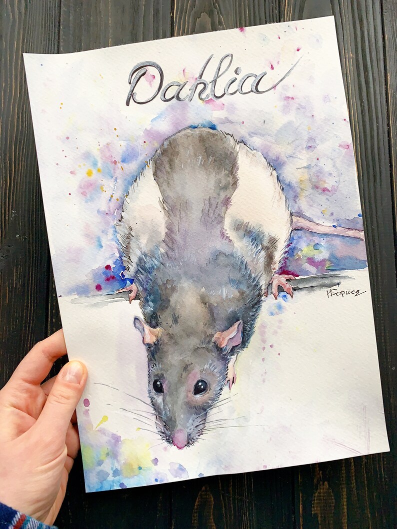 May include: Watercolor painting of a gray and white rat named "Dahlia" with a colorful background. The rat is looking at the viewer with its head tilted.