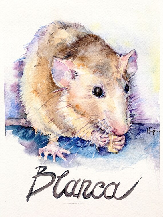 Watercolor Rat portrait, pet portrait from photo, custom rat art, watercolor pet portrait, memorial pet gift, rat drawing, rat lover gift