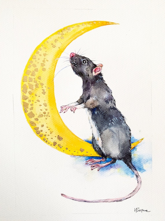 Personalized pet portrait | Custom Watercolor Pet Portrait, Pet Rat Art, Rat moon art, Memorial Pet Portrait, Rat portrait watercolor