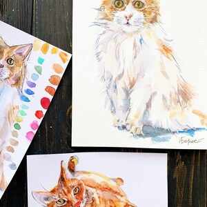 May include: Two watercolor paintings of orange tabby cats. The first painting shows a cat sitting with its head tilted to the side. The second painting shows a cat lying on its side with its paws in the air. Both paintings are signed "Boris".