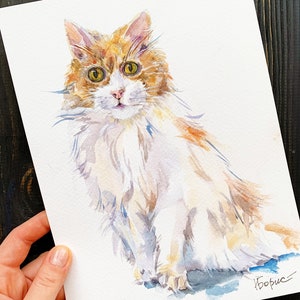 May include: Watercolor painting of a fluffy cat with orange and white fur, green eyes, and a pink nose. The cat is sitting and looking forward. The artwork is signed "Борис" in the bottom right corner.