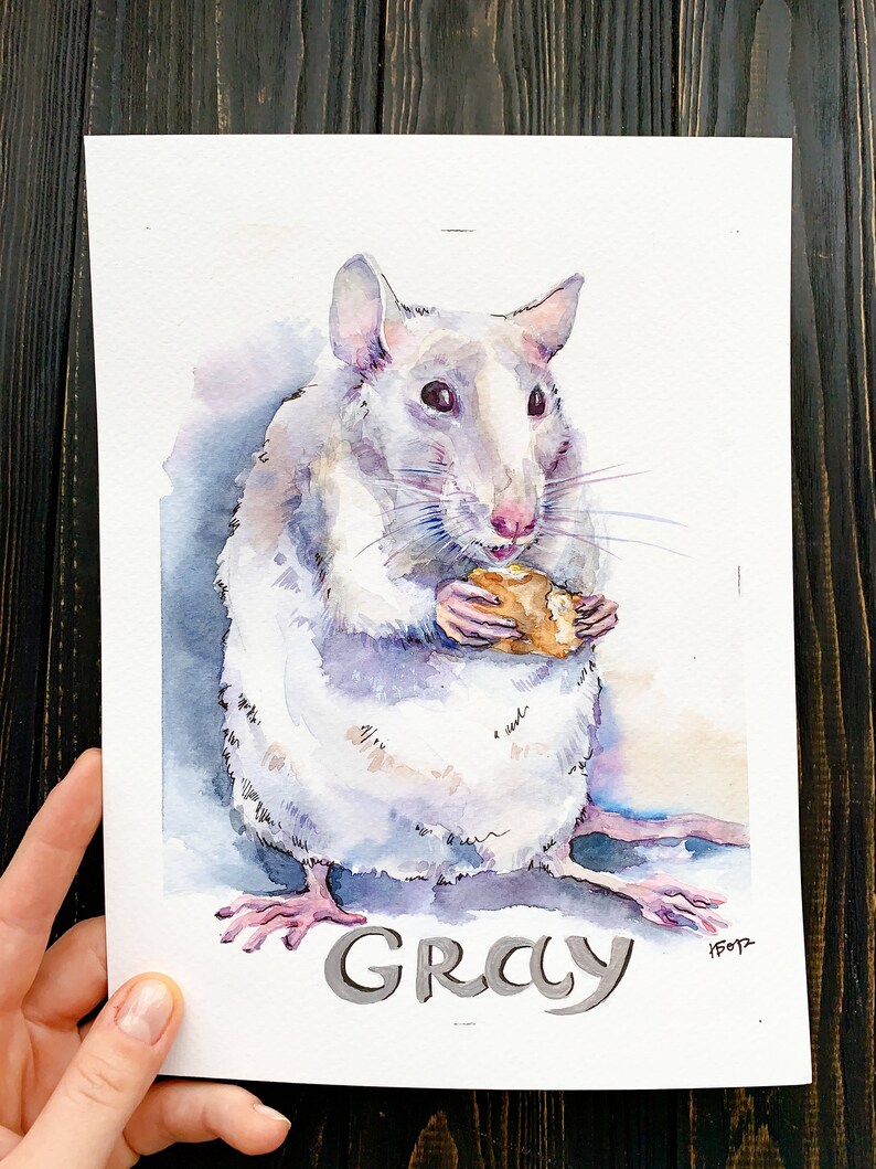 May include: Watercolor painting of a gray rat holding a piece of food. The rat is depicted in shades of gray, white, and purple, with pink feet and ears. The word "GRAY" is written in gray letters at the bottom of the painting.