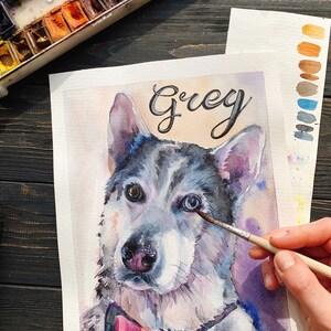 May include: Watercolor painting of a dog named Grey wearing a pink bow tie. The painting is on a white sheet of paper and is being worked on by an artist.