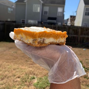 May include: A slice of pumpkin cheesecake with a graham cracker crust, a creamy white layer, and a vibrant orange pumpkin layer, dusted with powdered sugar. The dessert is held in a gloved hand against a backdrop of a sunny outdoor scene.