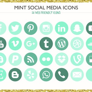 560 Social Media Icons Mint PNG files Digital Download Blog/Wordpress/Web/Email Friendly image 1