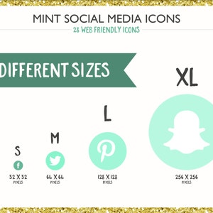 560 Social Media Icons Mint PNG files Digital Download Blog/Wordpress/Web/Email Friendly image 4