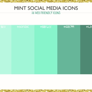 560 Social Media Icons Mint PNG files Digital Download Blog/Wordpress/Web/Email Friendly image 3