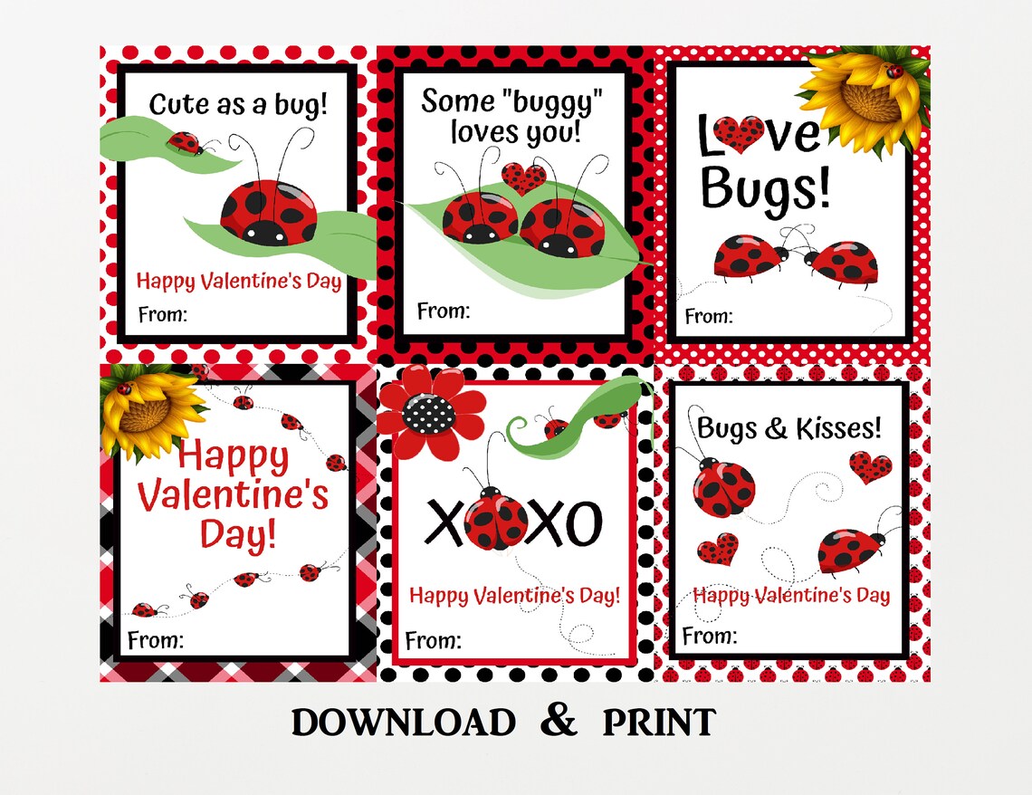 Ladybug Valentines Day Cards, Valentines Cards for Kids Classroom