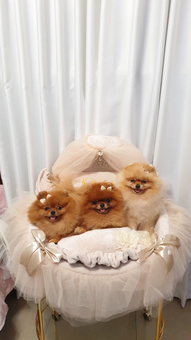 Royal Canopy Beddog Bed Bed for Dogs Loungerbed for Cats Etsy