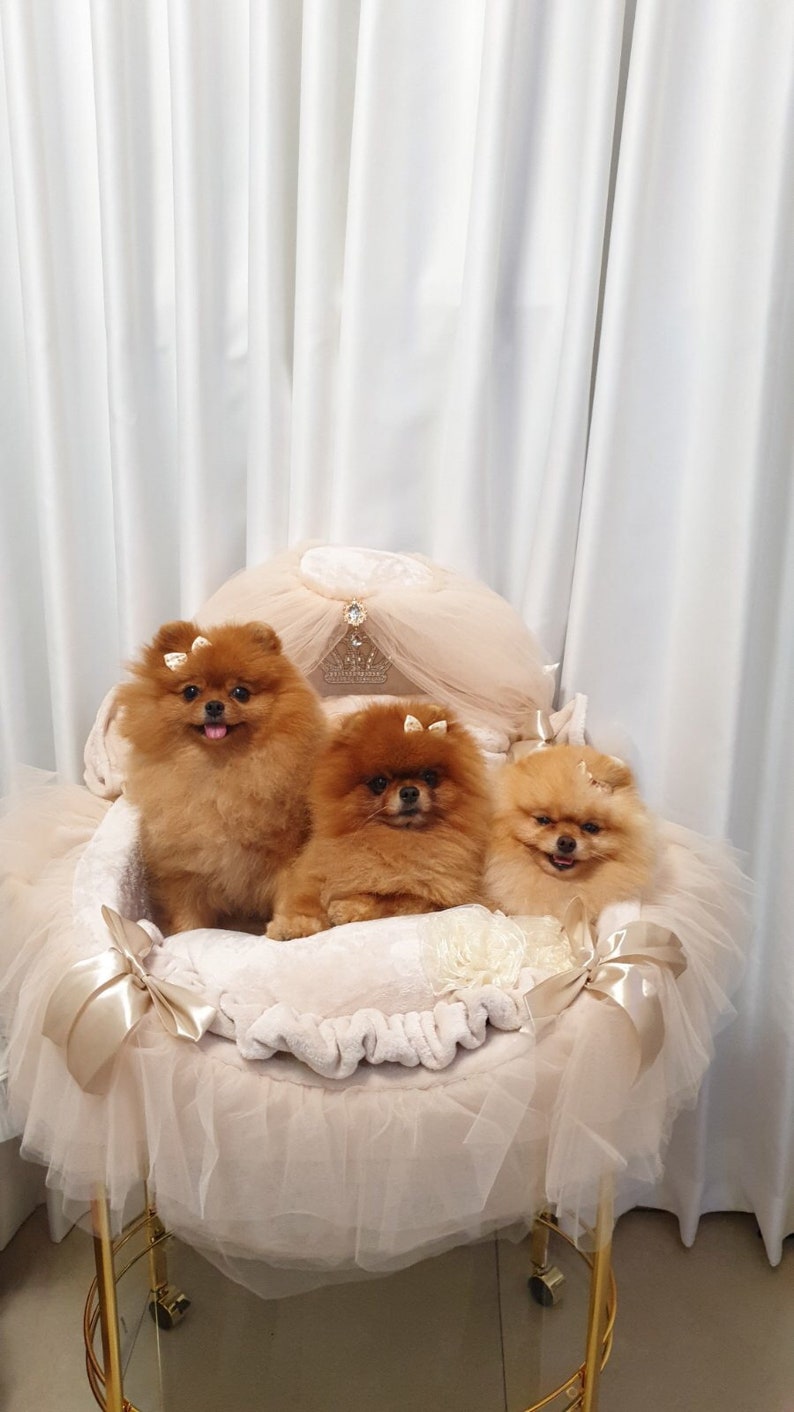 Königliches Himmelbett Hundebett Bett für Hunde Liegebett Etsy