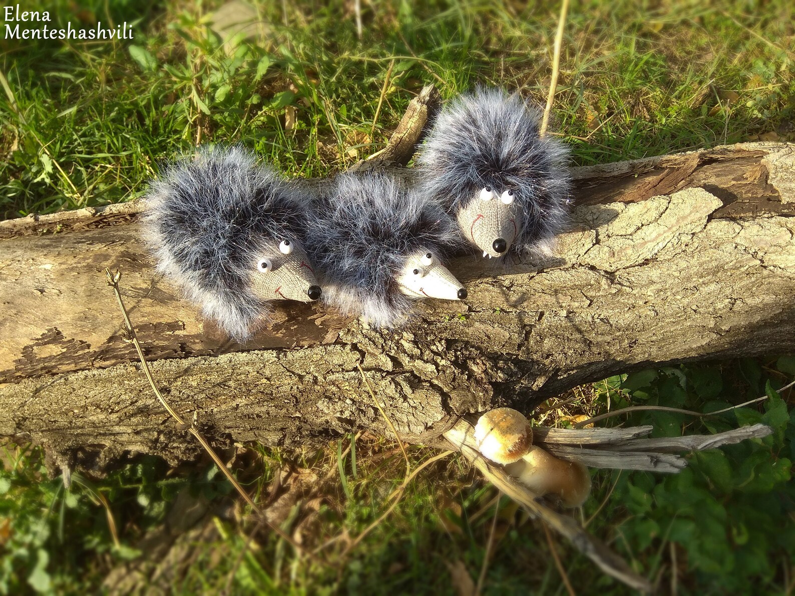 Hedgehog toy set 3 pieces Decorative hedgehogs figurine gifts Etsy