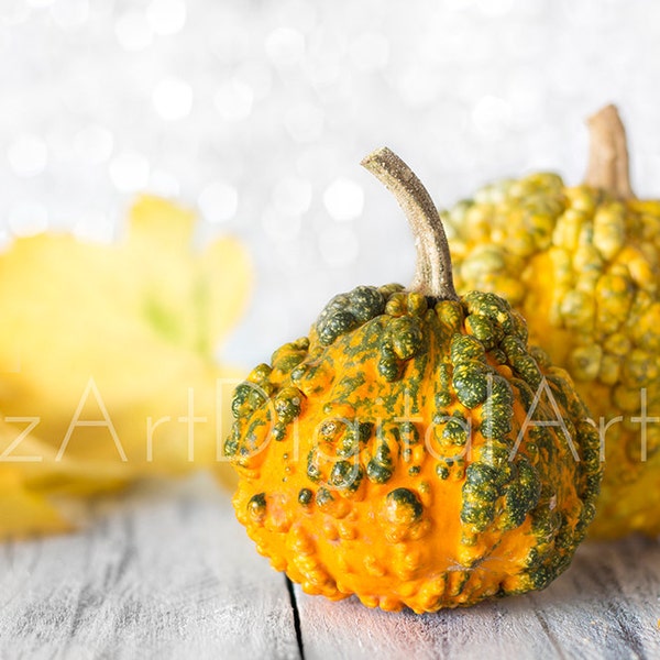 Fotografia decorativa de Halloween, arte para impressão, download instantâneo, fotografia de folhas de outono, decoração em cor laranja, fundo de outono
