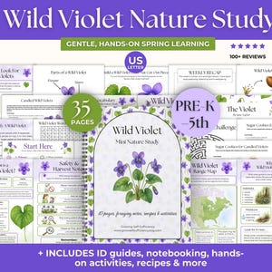 Pode incluir: Materiais educativos intitulados "Wild Violet Nature Study" com o texto "Gentle, Hands-On Spring Learning". Os materiais incluem guias, atividades e receitas para o pré-escolar à 5ª série. A capa apresenta uma ilustração de violetas.