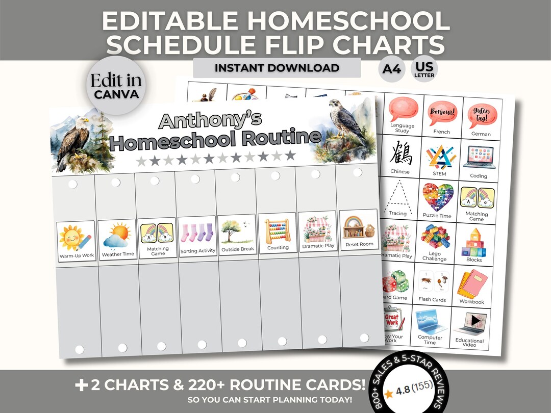 Editable Homeschool Schedule Flip Chart, Raptors Routine Cards (digital ...