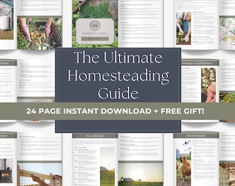Beginner's Homesteading Guide, Sustainable Living Projects (Digital Download)
