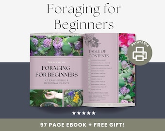 Foraging for Beginners eBook, Wild Edible Plant Guide (Digital Download)