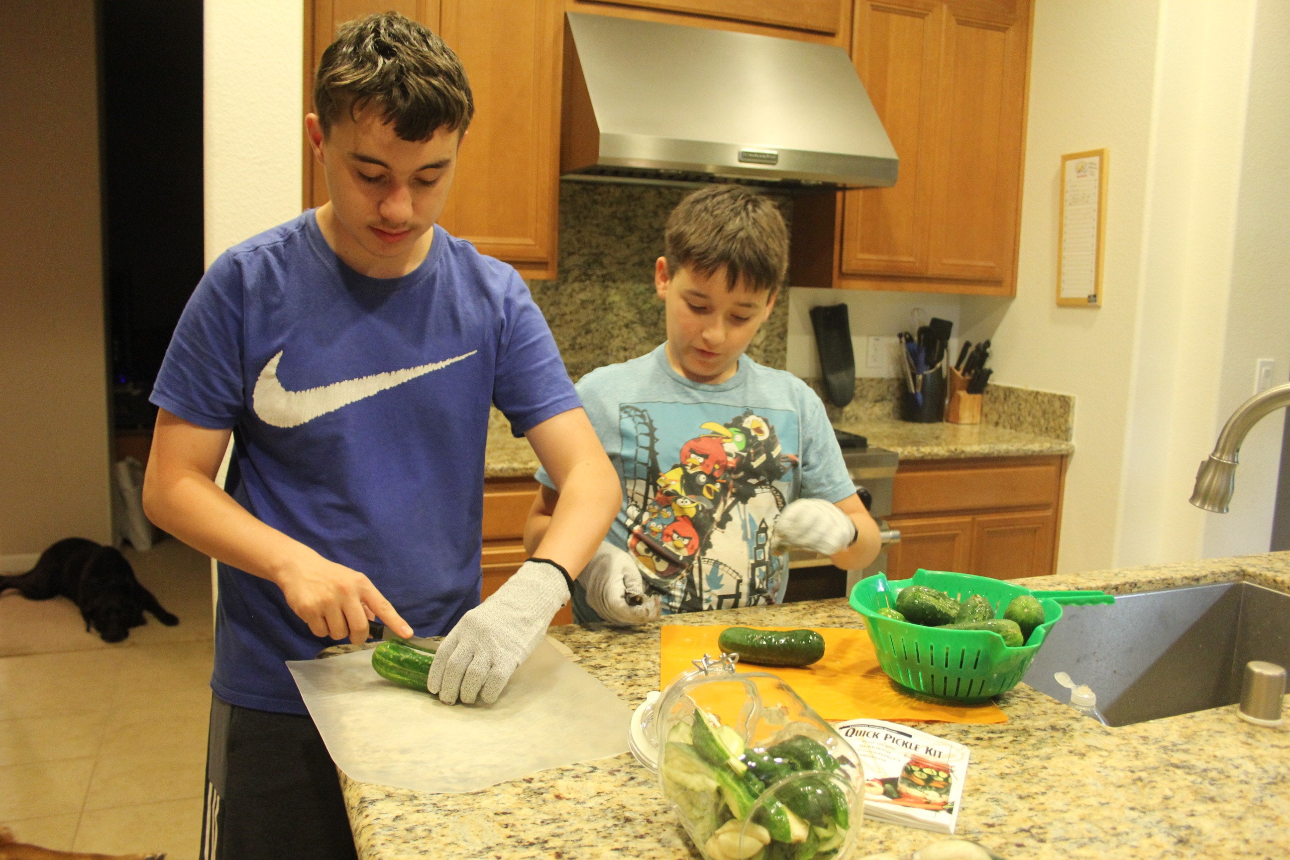 Quick Pickle Kit Great Tasting Healthy Pickles in Just a Few Days Etsy