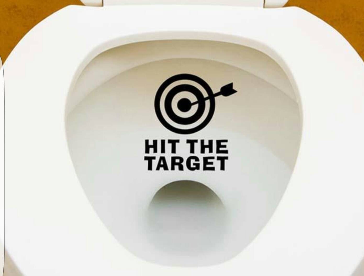 Toilet target Decal Toilet bulls eye Potty Training Aiming Etsy