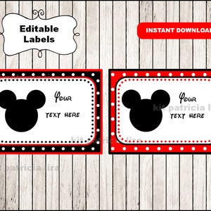 Personalised Disney Vinyl Name Stickers / for Lunch Box Water Bottle Box  Etc / Labels Words Names / Font Decal 