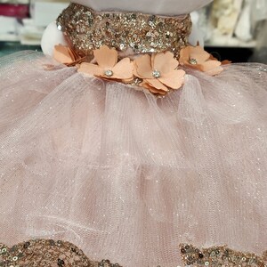 May include: A pink tulle skirt with a gold sequin waistband and a row of peach-colored fabric flowers with rhinestones.
