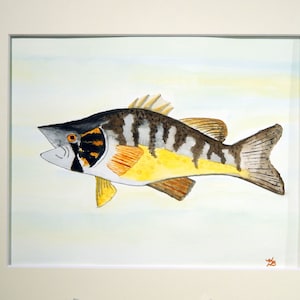 Colorful Trout Fish Original Watercolor Painting Mounted and Matted Home Nursery Decor Wall Art