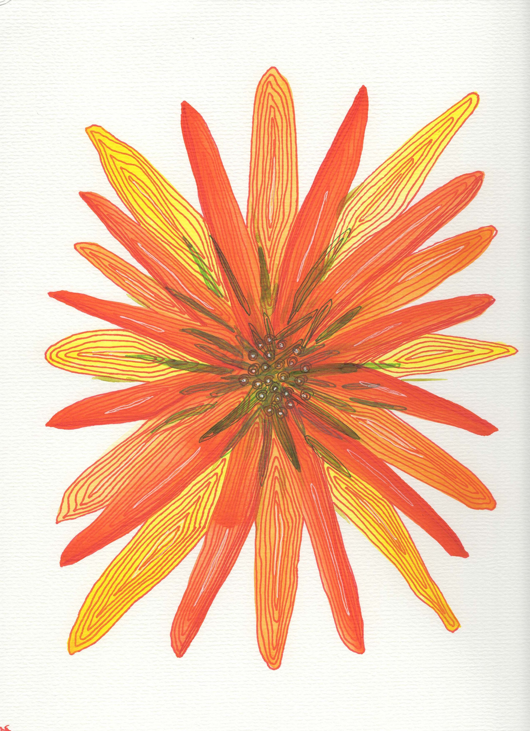 Dizzy Daisy Floral Flower ORIGINAL Watercolor Line & Wash Etsy