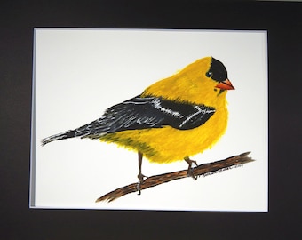 AMERICAN GOLDFINCH Watercolor Painting Mounted/Matted Modern Nursery Office Bird Wall Art