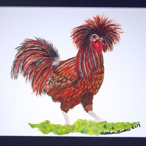 Watercolor Painting Polish Rooster Chicken Mounted/Matted Modern Art Nursery Office Wall Art