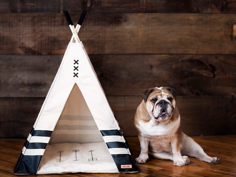 Pet Teepee 29"x29"