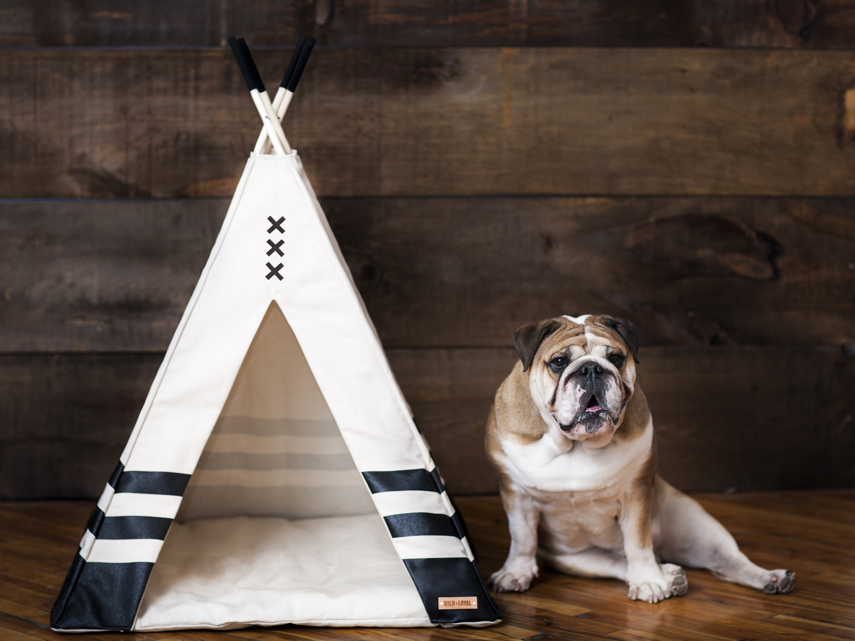 etsy dog teepee