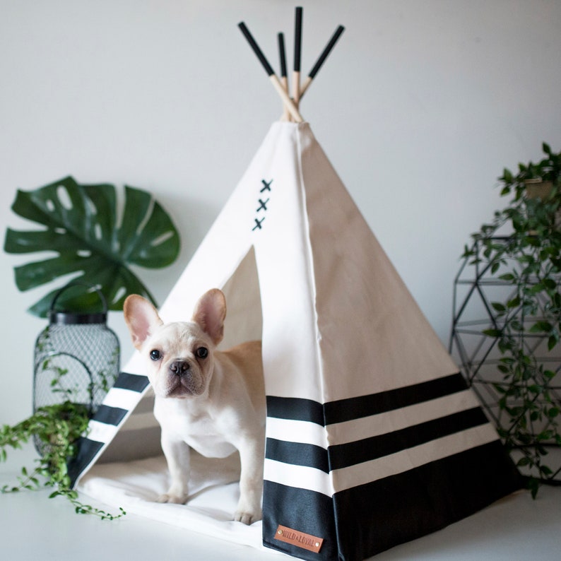 Pet teepee 24x24 image 5