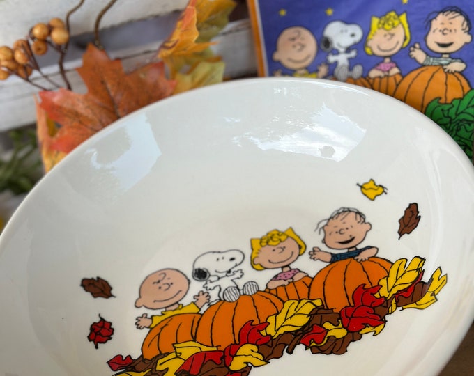 Snoopy Peanuts Great Pumpkin Dish Bowl Ceramic Bowlhome Decor Kitchenware Collection Individual