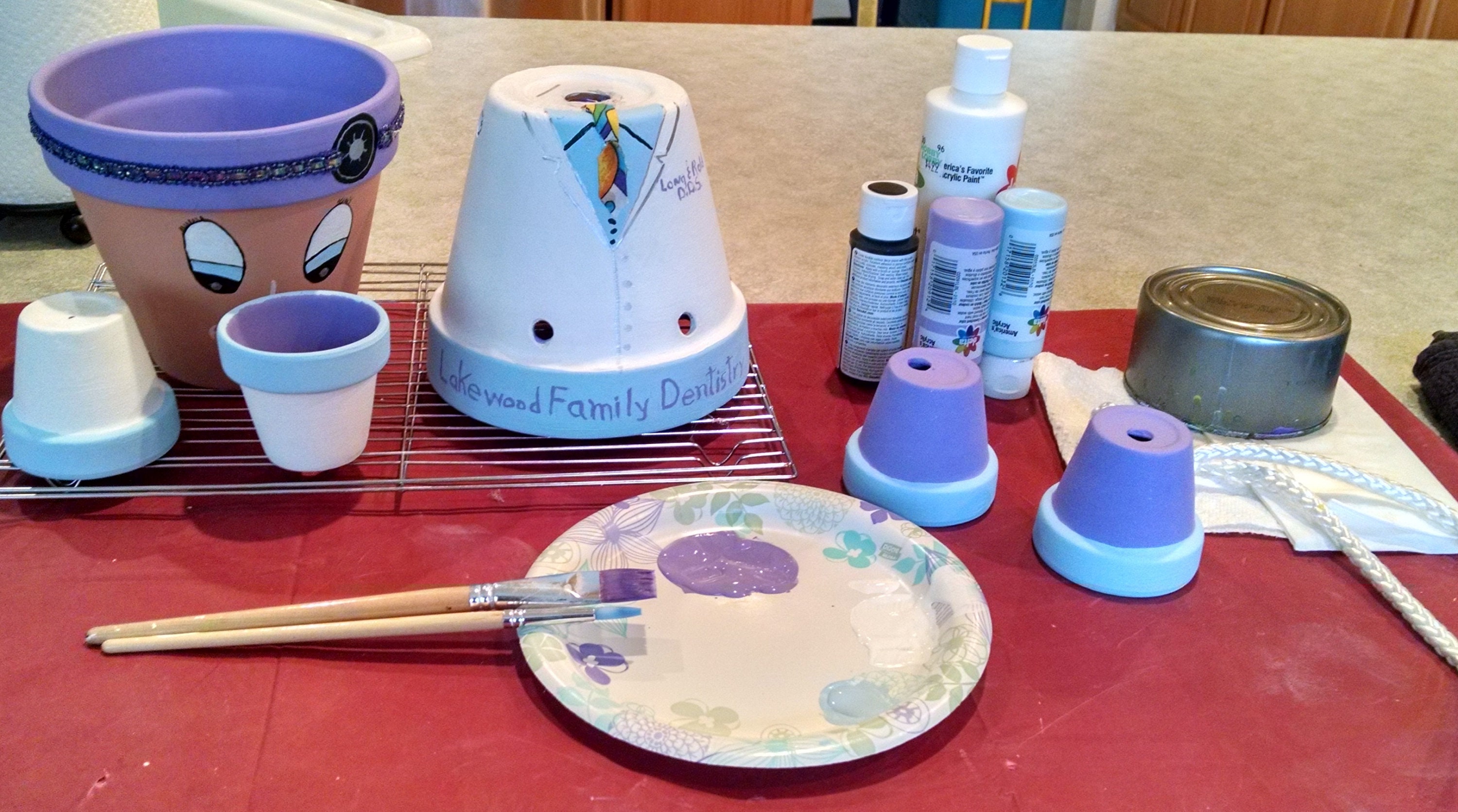 Doctor of Dental Science DDS Pot Buddy Etsy