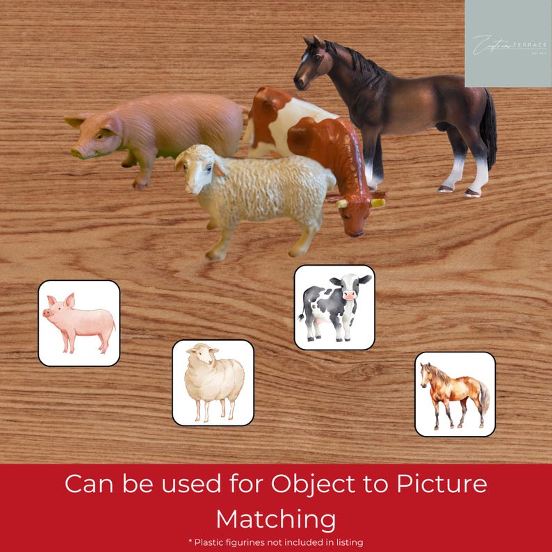 Farm Animal Flashcards, Montessori 3-part Cards - Etsy