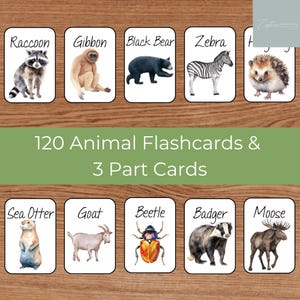 Animal Flashcards, Animal Montessori 3 Part Cards, Preschool Activity, Toddler Educational Play, Pre-K Printable, Montessori Material
