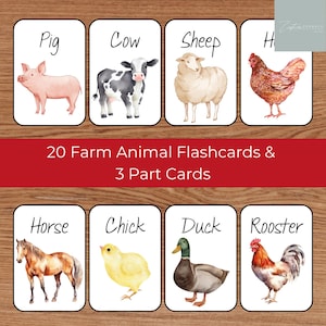 Farm Animal Flashcards, Animal Montessori 3 Part Cards, Preschool Activity, Toddler Educational Play, Pre-K Printable, Montessori Material