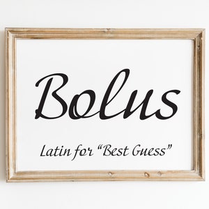 Diabetes Humor Digital Print, Type 1 Diabetic, Diabetic Joke, Bolus Latin for Best Guess