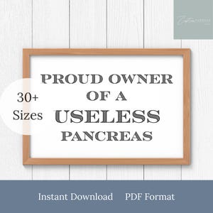 Diabetes Humor Digital Print, Type 1 Diabetic, Diabetic Joke, Proud Owner of a Useless Pancreas
