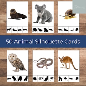 Pode incluir: Conjunto de 50 cartões de silhuetas de animais com vários animais como uma foca, um coala, uma coruja, uma cobra e um canguru. Cada cartão exibe uma imagem realista do animal acima de uma linha de silhuetas de animais. O texto "50 Animal Silhouette Cards" é exibido.