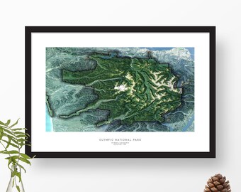 Olympic National Park, Washington | Topographic Color Print, Map Art | Home or Office Decor, Gift for Wilderness Lover, Hiker, or Camper