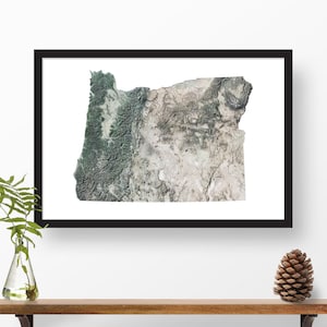 May include: A framed print of a topographic map of the state of Oregon. The map is in shades of green, brown, and white, showing the state's varied terrain.