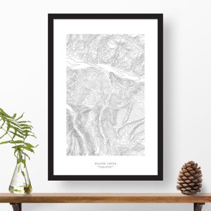 May include: A black and white topographic map print of Beaver Creek, Colorado. The map shows the elevation contours of the area. The print is framed in a black frame.