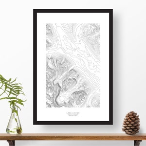 May include: A black and white topographic map print of Lake Louise, Canada. The print features contour lines that depict the elevation of the landscape. The print is framed in a black frame and is displayed on a shelf with a small pine cone and a vase of greenery.