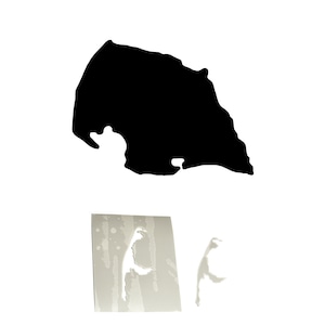 Puede incluir: Una silueta negra de una masa de tierra, posiblemente una isla o una región costera, sobre un fondo blanco. Debajo, una imagen rectangular con una silueta blanca de una figura similar a un pájaro y una silueta similar más pequeña.