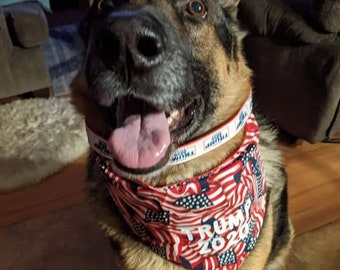 maga dog collar