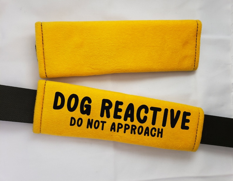 Dog Reactive Leash Wrap Leash Cover Caution Leash Wrap FREE Etsy